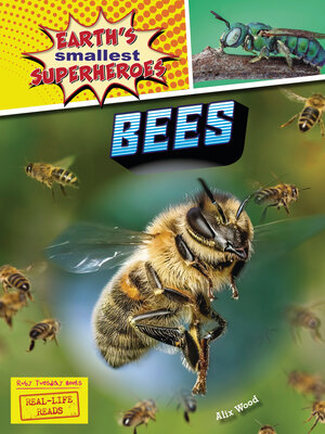 cover image of Bees